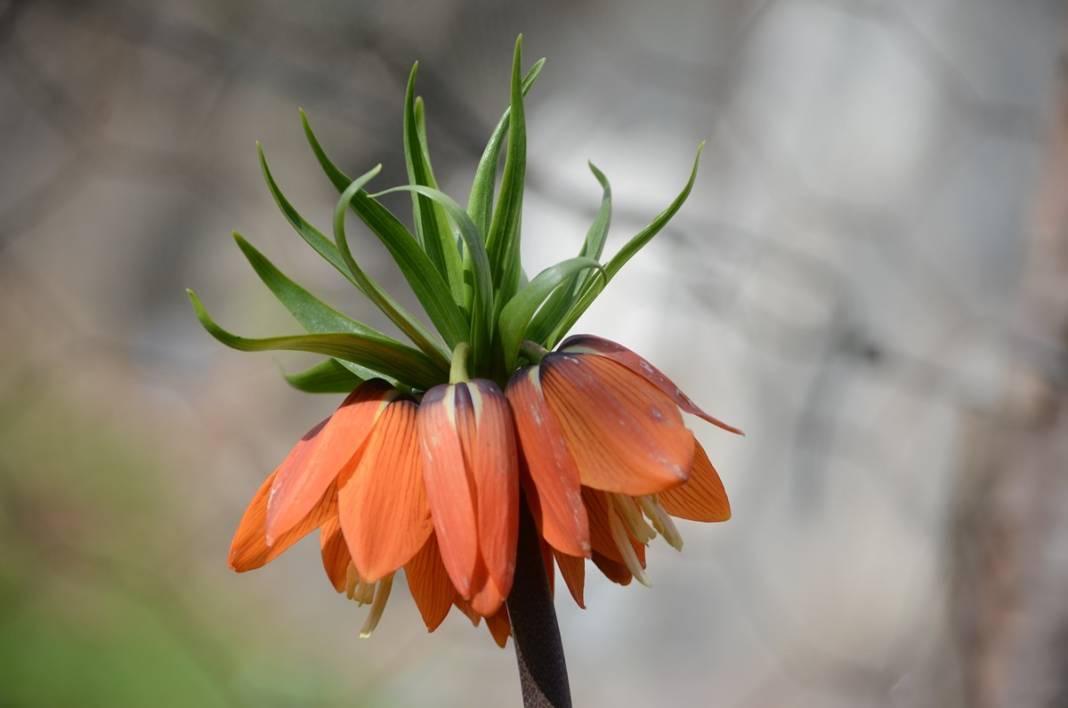 Bu insanlar neye bakıyor? Gece-gündüz nöbet tutuyorlar, ilk kez görenler şaştı kaldı! 50